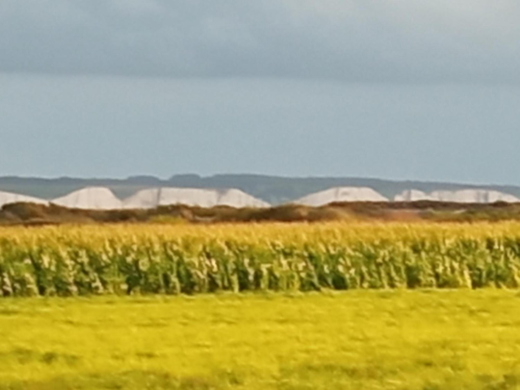 gite repos et tranquillité G Cayeux-sur-Mer Exterior foto
